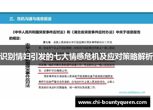 识别情妇引发的七大情感危机及应对策略解析