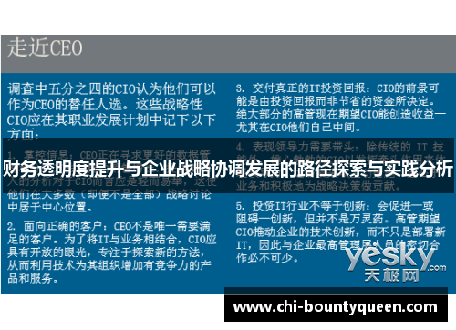 财务透明度提升与企业战略协调发展的路径探索与实践分析