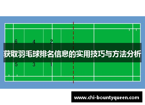 获取羽毛球排名信息的实用技巧与方法分析