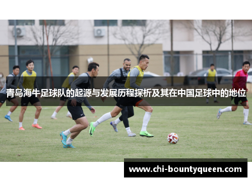 青岛海牛足球队的起源与发展历程探析及其在中国足球中的地位