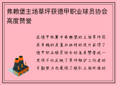 弗赖堡主场草坪获德甲职业球员协会高度赞誉